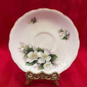Royal Vale Orphaned Saucer Dogwood green white pink floral 5.5"